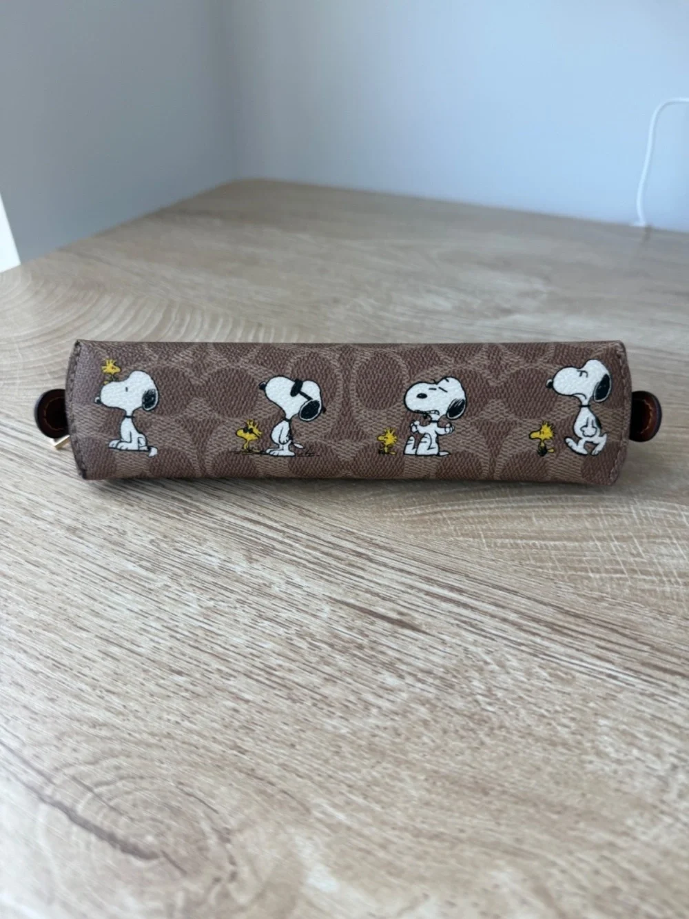 COACH Peanuts Pencil Case + International Charger